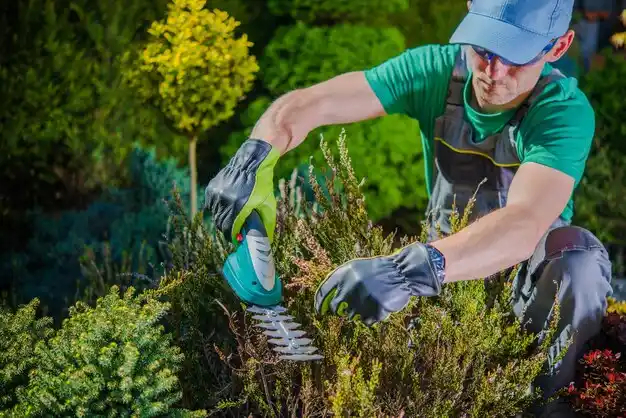 landscaping services Kaplan
